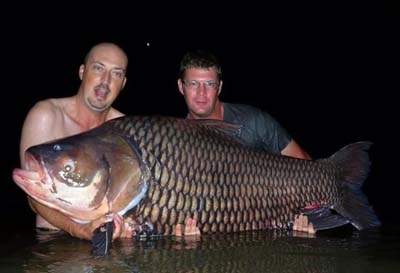 172lb world record siamese carp Wayne Metcalf 2015.jpg